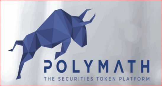 polymath crypto review