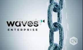 картинка 1 прикреплена к отзыву Waves Enterprise от Mehemmed Akberov