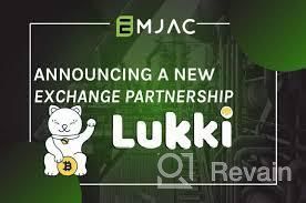 картинка 2 прикреплена к отзыву Lukki Exchange от owez meredow