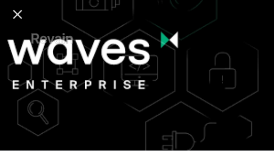 картинка 1 прикреплена к отзыву Waves Enterprise от Tamilya Sergiya