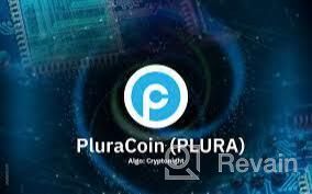 картинка 3 прикреплена к отзыву PluraCoin от Celebe Kayabegli