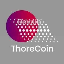 картинка 2 прикреплена к отзыву ThoreCoin от AY Sazadajan