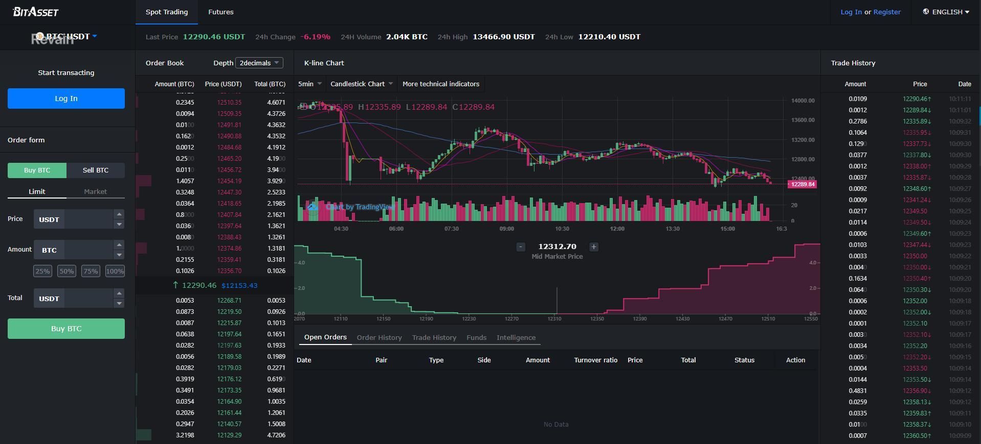 картинка 2 прикреплена к отзыву BitAsset от Sadi Aliyev