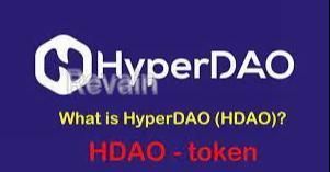 картинка 2 прикреплена к отзыву HyperDAO от Gulnar Hajyyewa