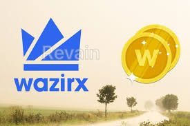 картинка 1 прикреплена к отзыву WazirX от Cary Owezow